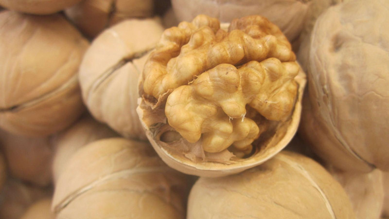 厂家直供新疆薄皮核桃，批发幸福核桃质优价廉