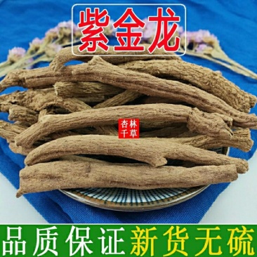 云南野生中药材紫金龙申枝莲豌豆七川山七包邮