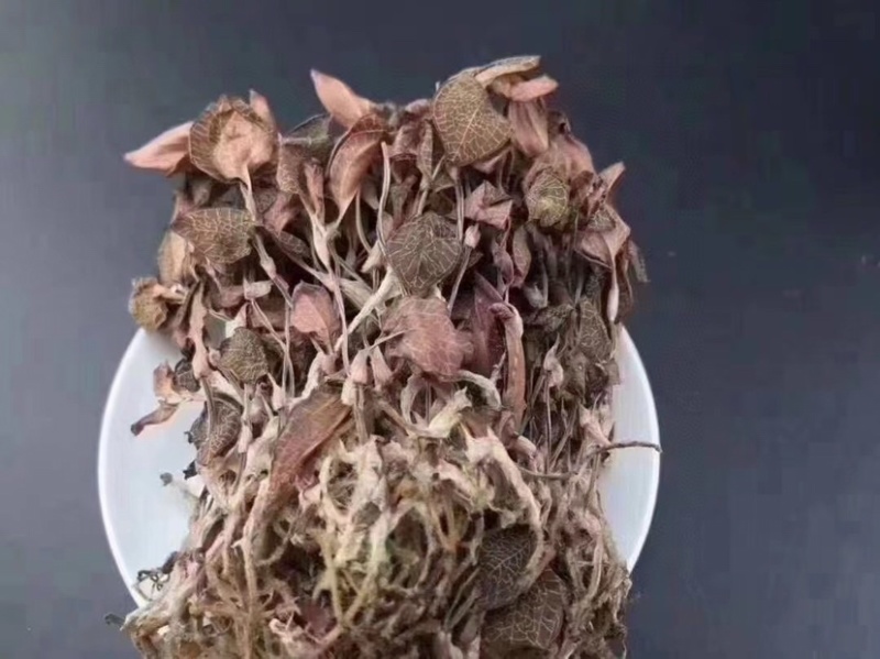 金线莲，味甘性凉，一手货源，价格实惠，质量杠杠滴