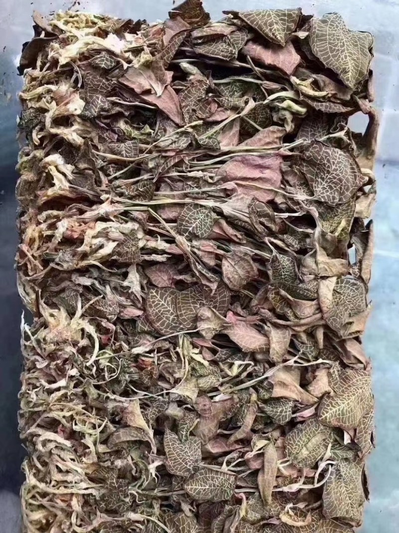 金线莲，味甘性凉，一手货源，价格实惠，质量杠杠滴