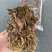 金线莲，味甘性凉，一手货源，价格实惠，质量杠杠滴
