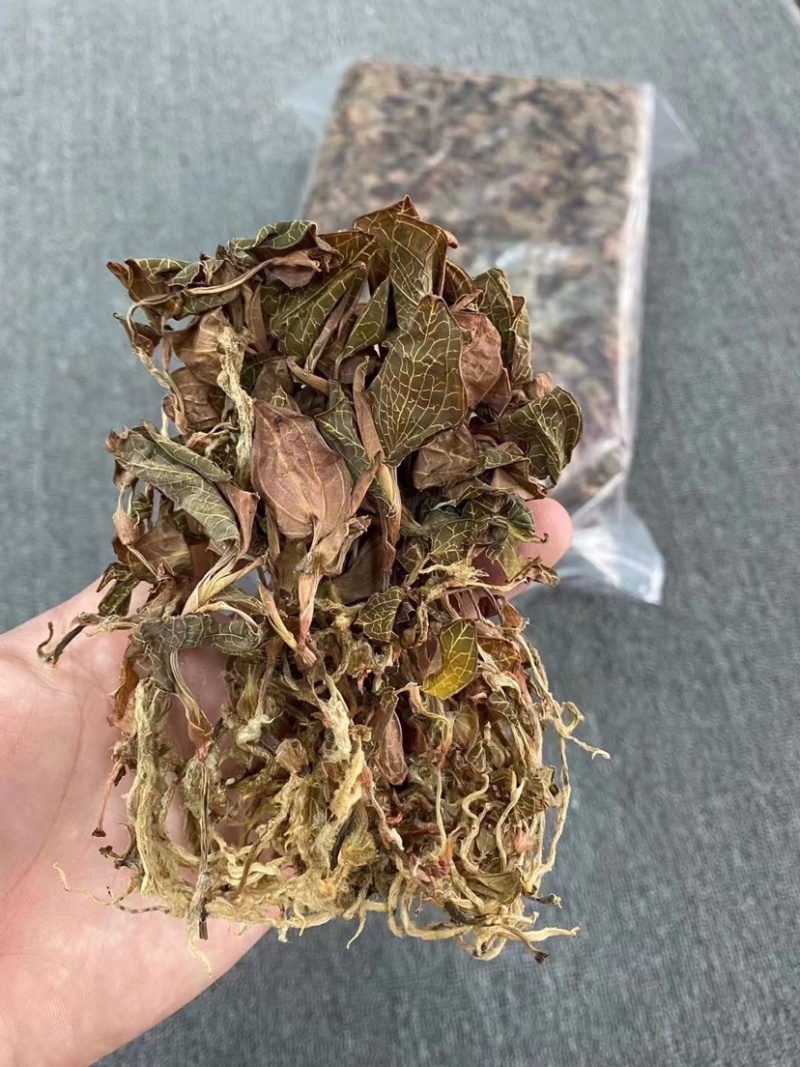 金线莲，味甘性凉，一手货源，价格实惠，质量杠杠滴