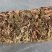 金线莲，味甘性凉，一手货源，价格实惠，质量杠杠滴