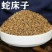 云南野生中药材蛇床子正品新货散装包邮