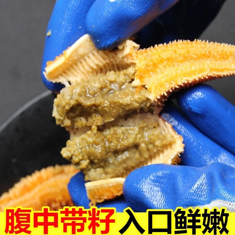海星派大星大海星小海星新鲜海星派大星大海星小海星
