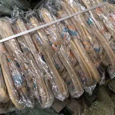 跑江湖地摊展览畅销十元模亚麻拖鞋一件200双价格实惠