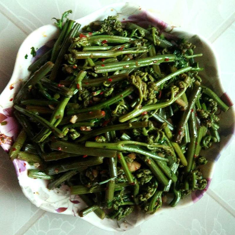 蕨菜干藏区土特产野生菜
