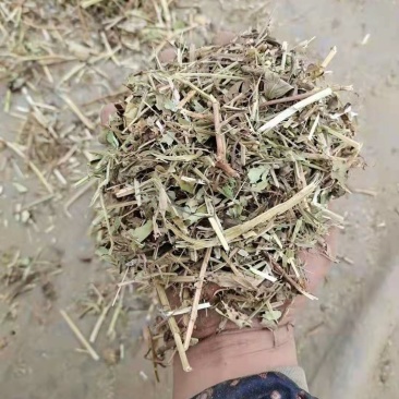 直销花生秧花生秧粉，猪牛羊饲料花生秧