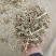 直销花生秧花生秧粉，猪牛羊饲料花生秧