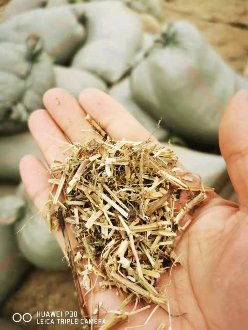 直销花生秧花生秧粉，猪牛羊饲料花生秧
