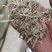 直销花生秧花生秧粉，猪牛羊饲料花生秧