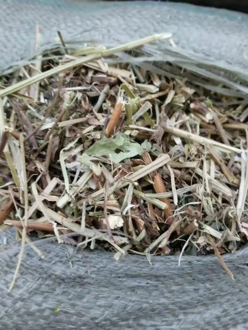 直销花生秧花生秧粉，猪牛羊饲料花生秧