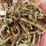 直销花生秧花生秧粉，猪牛羊饲料花生秧