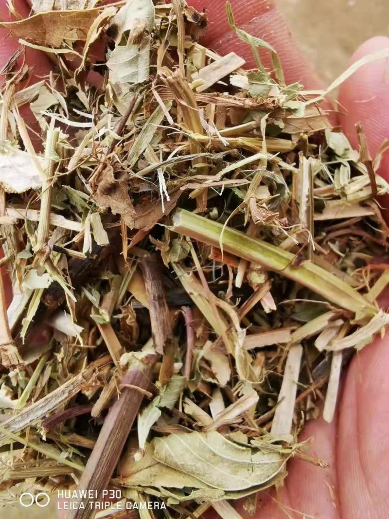 直销花生秧花生秧粉，猪牛羊饲料花生秧