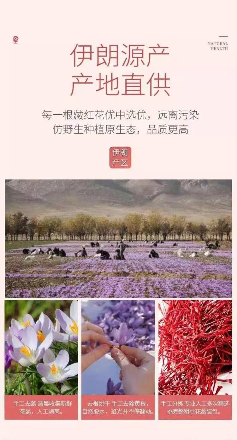 藏红花花丝藏红花正品特级伊朗进口西藏迪拜泡水喝女性西红