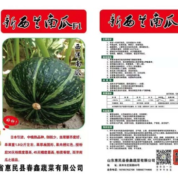 板栗南瓜种子，新西兰，700粒装，批发，零售，基地供应