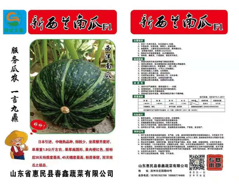 板栗南瓜种子，新西兰，700粒装，批发，零售，基地供应