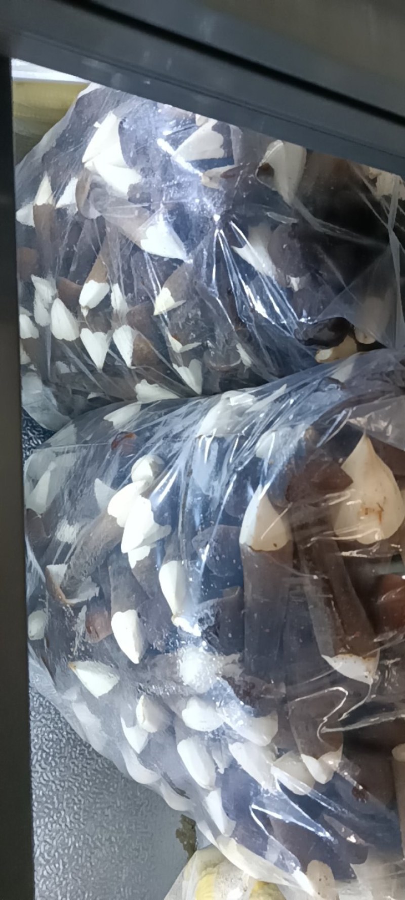 鸡枞菌黑鸡枞有一二三四级，短腿，新鲜无硬泥沙，质量杠杠