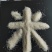 梧桐河鱼稻米