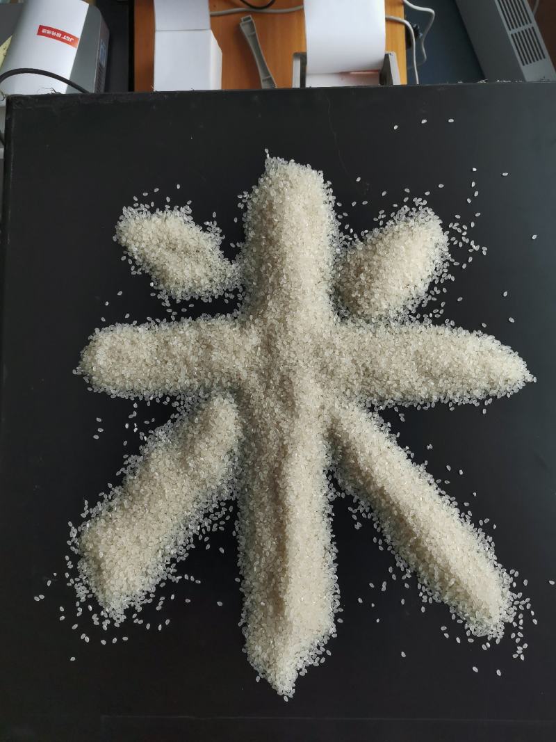 梧桐河鱼稻米