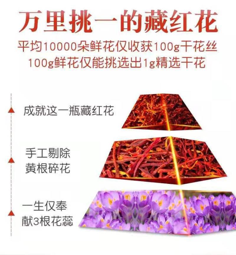 西藏藏红花伊朗精品优选包邮当天发货泡茶药用