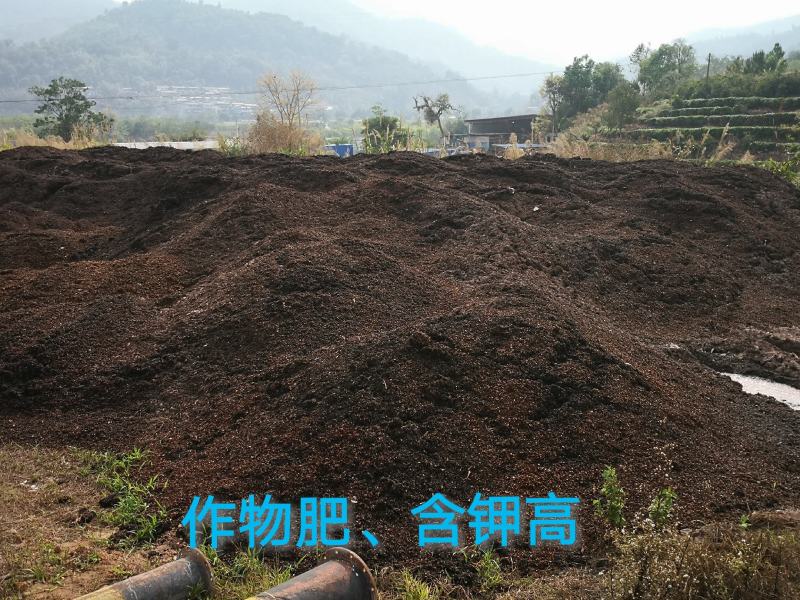 咖啡果皮（咖啡渣）～发酵有机肥，欢迎客商电话咨询