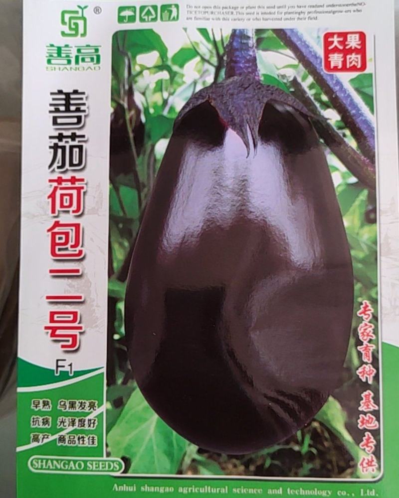 善茄荷包二号茄子种子，果色紫黑油亮，果肉浅绿色
