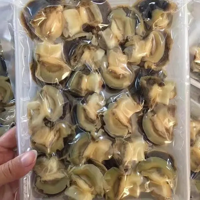 香螺肉新鲜海鲜冷冻大海螺肉沙螺肉