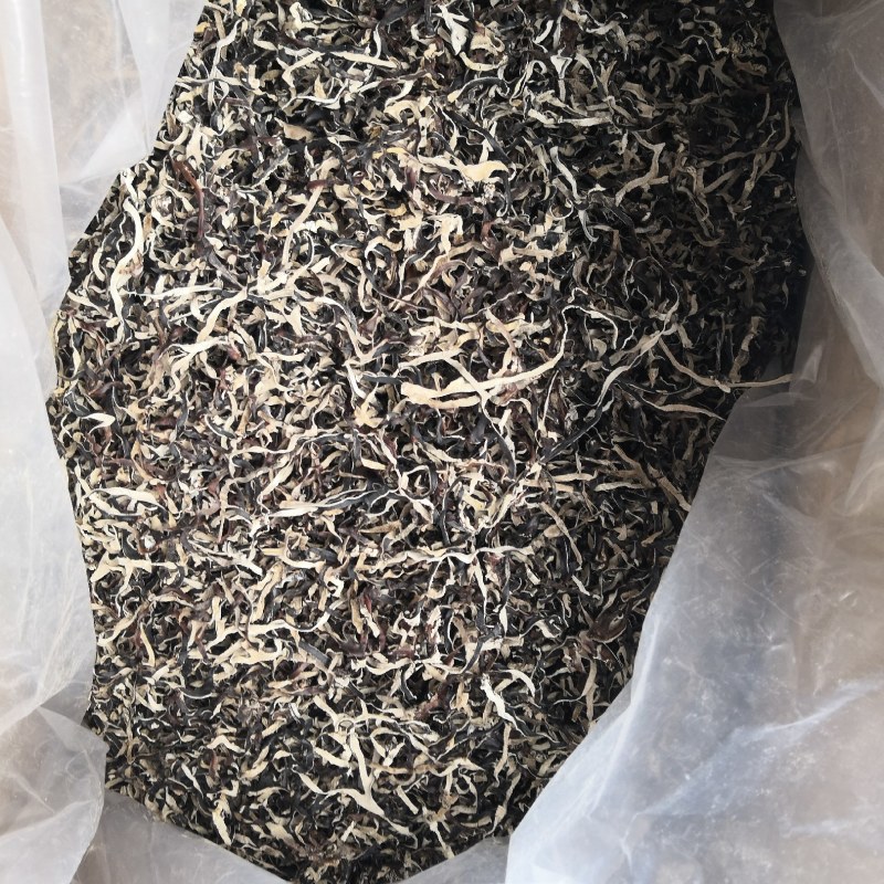 木耳丝白背木耳丝螺蛳粉用木耳丝