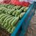 西葫芦，精选小瓜，对接全国市场，超市，电商，保质保量。