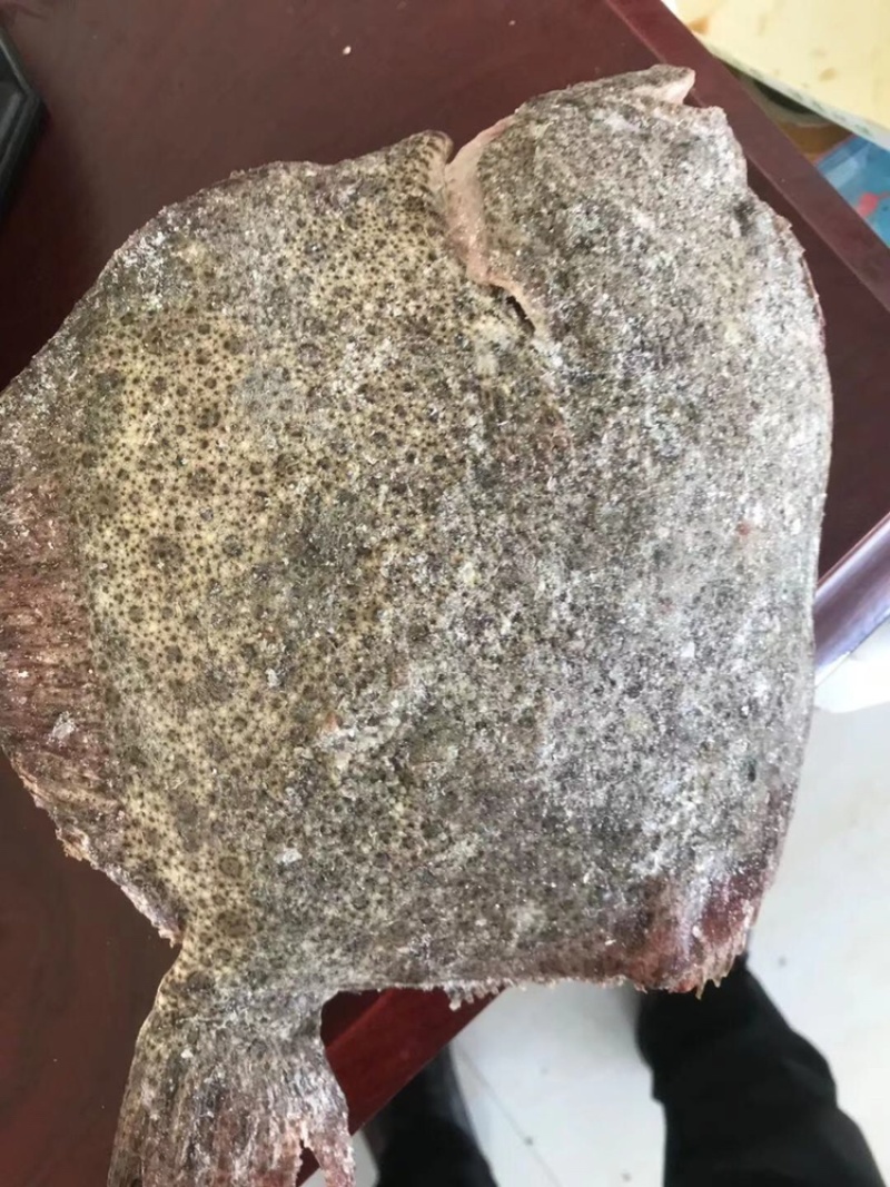 多宝鱼比目鱼冰鲜鱼质量好大菱鲆大量有货冷冻