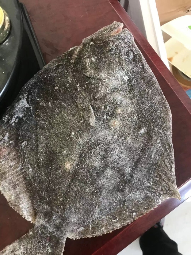 多宝鱼比目鱼冰鲜鱼质量好大菱鲆大量有货冷冻