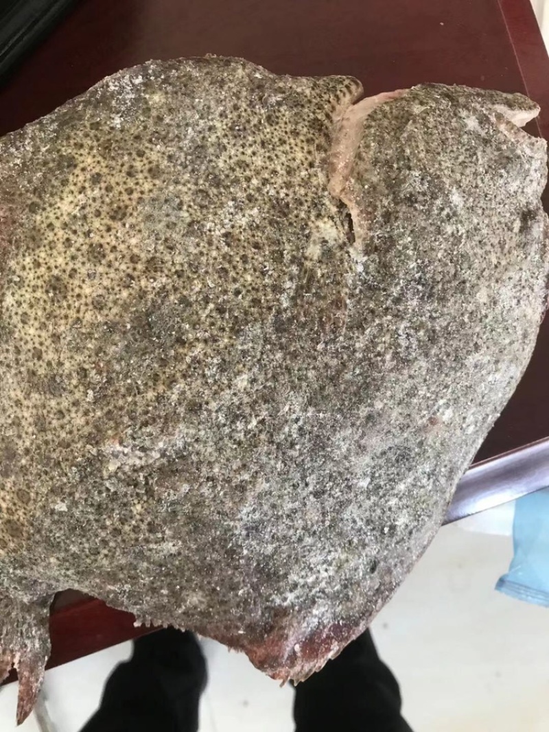 多宝鱼比目鱼冰鲜鱼质量好大菱鲆大量有货冷冻