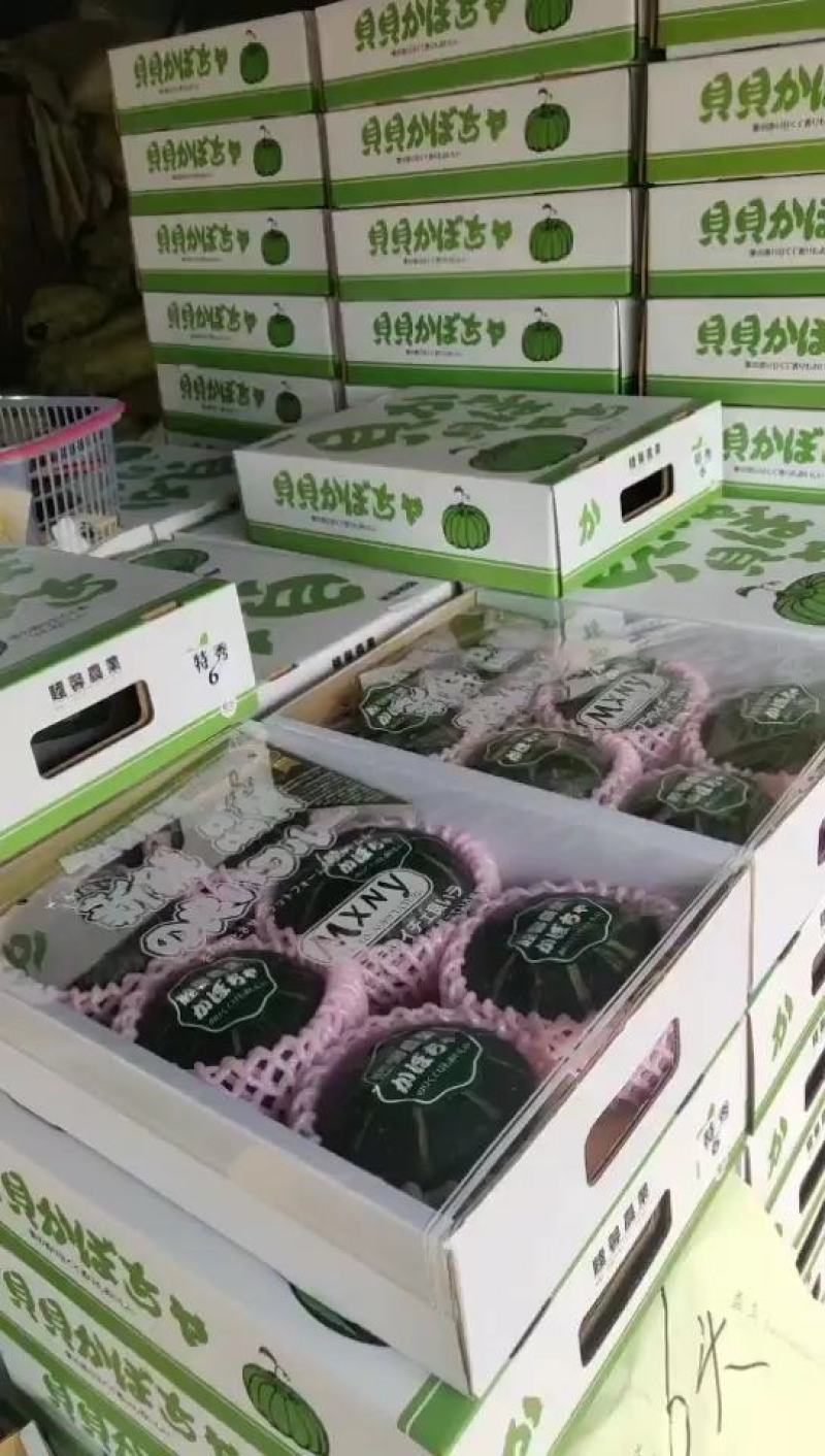 海南树上熟金钻凤梨17号一件代发稳定供货