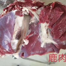 新鲜鹿肉一包五斤45一斤不包邮