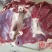 新鲜鹿肉一包五斤45一斤不包邮
