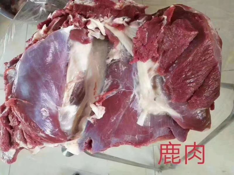 新鲜鹿肉一包五斤45一斤不包邮