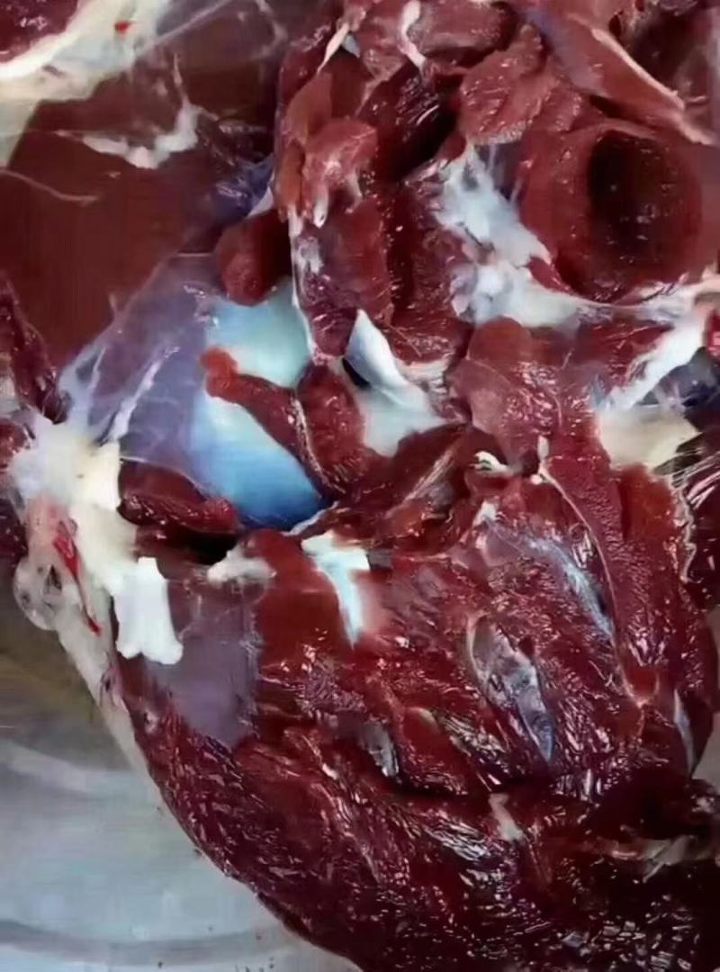 新鲜鹿肉一包五斤45一斤不包邮