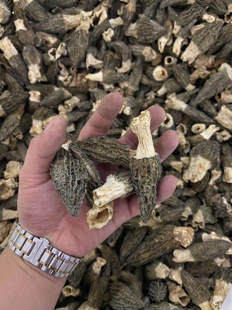 羊肚菌4到10的