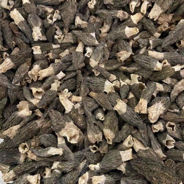 羊肚菌4到10的