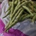 山东高密精品芸豆大量上市