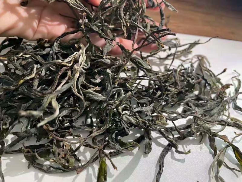 云南省临沧市凤庆县古树茶