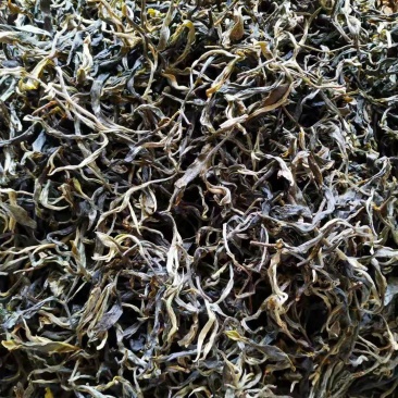云南省临沧市凤庆县古树茶