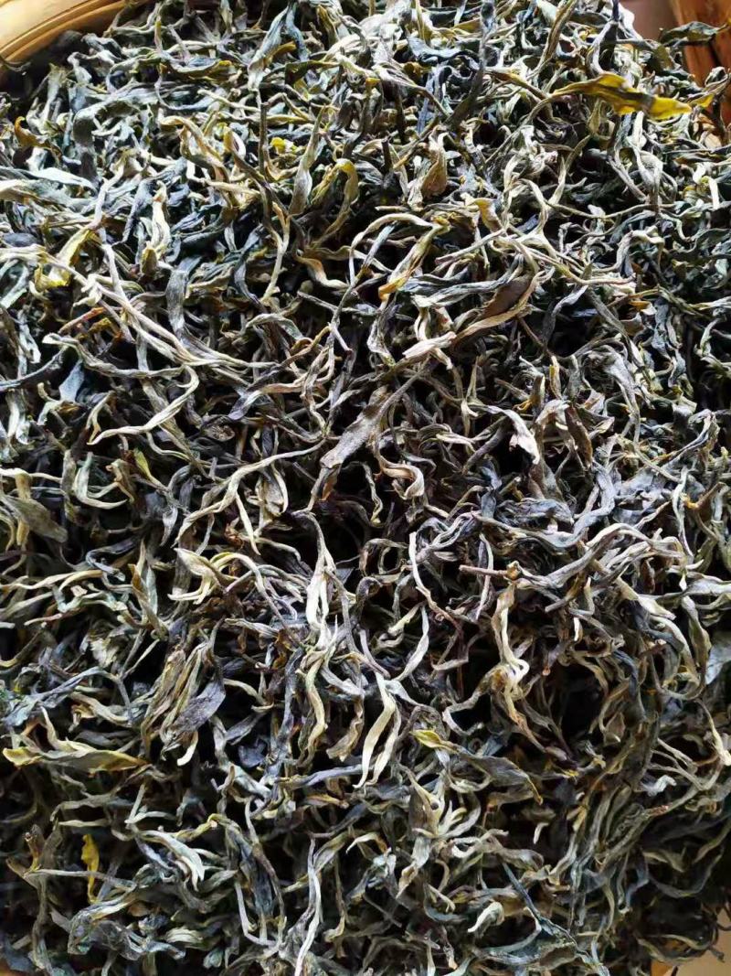 云南省临沧市凤庆县古树茶