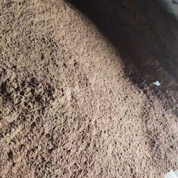 大量出售五粮液白酒糟，每天全国现货发车。量大从优。