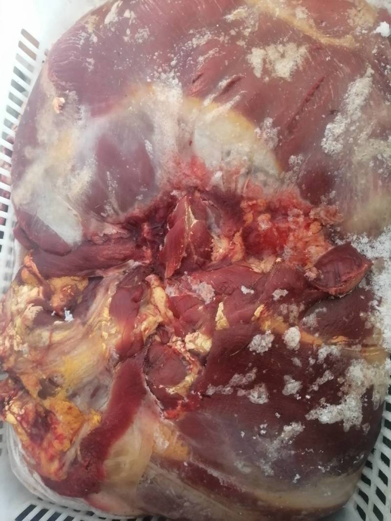 牦牛肉四分体，新鲜冷冻都有！