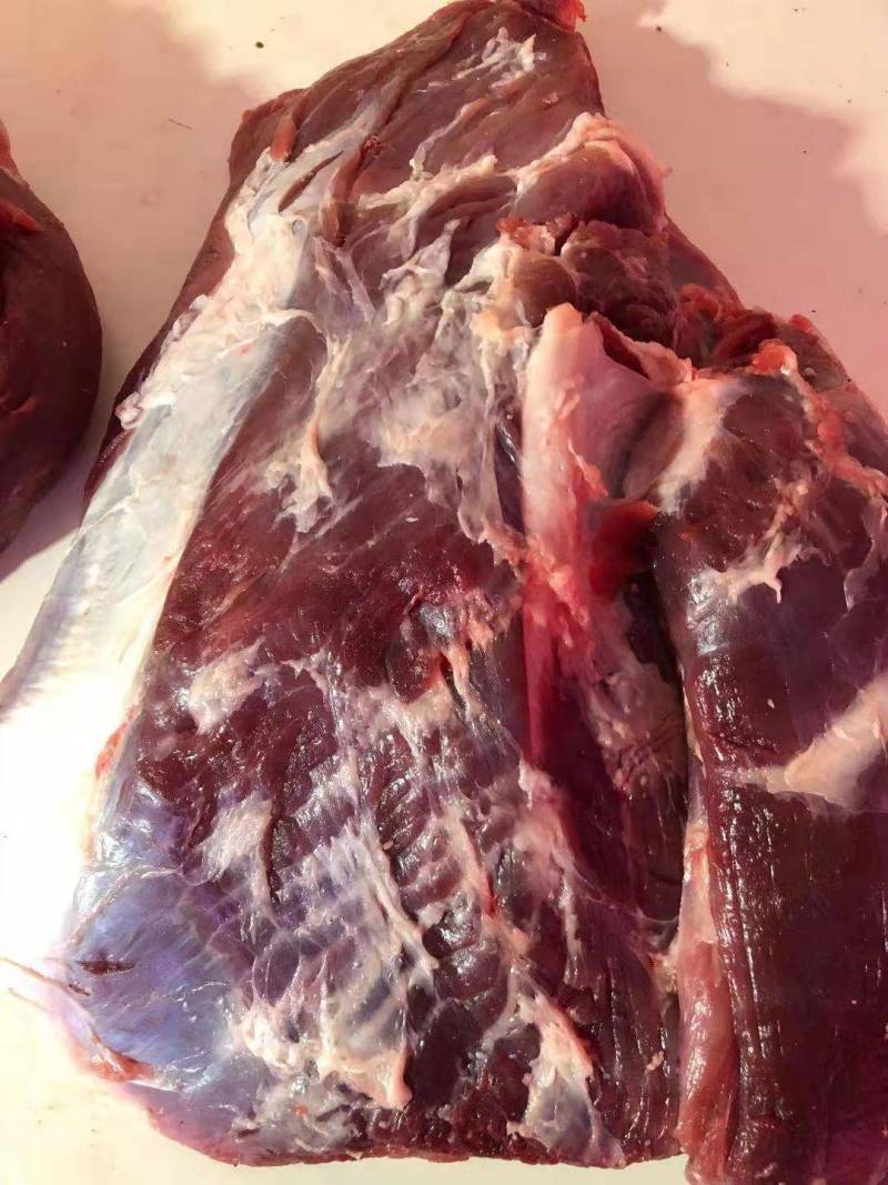 牦牛肉四分体，新鲜冷冻都有！