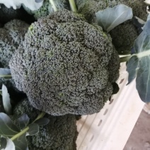西兰花