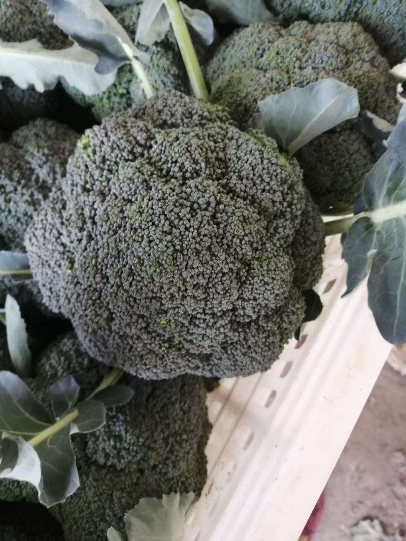 西兰花