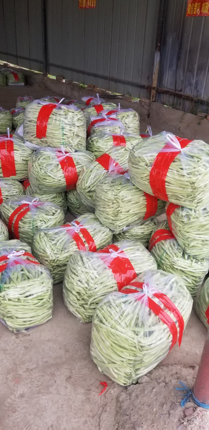 白不老开始大量上市了